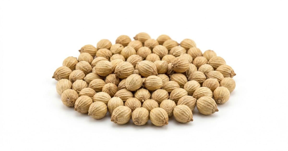 Coriander Seeds