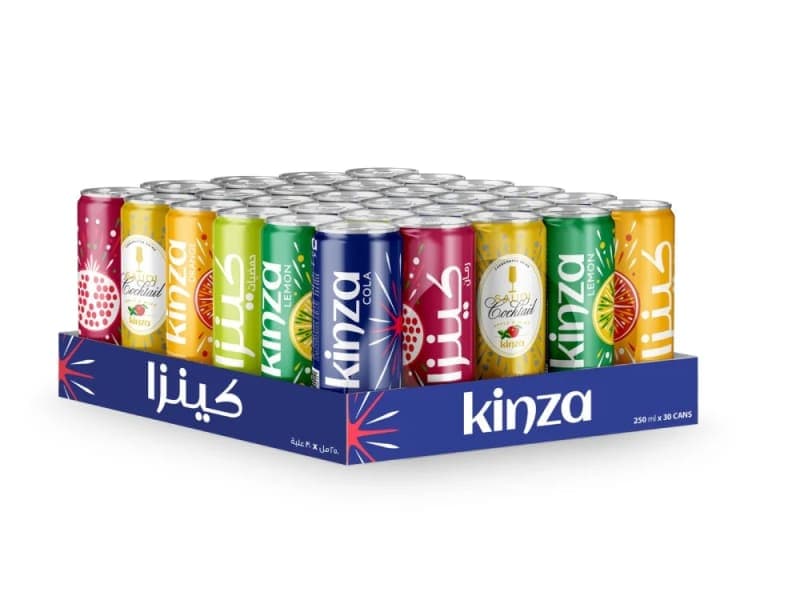 Kinza Family Pack CSD - 250ml x 30 Pcs